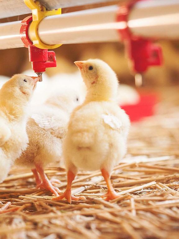 2022 Parvalux système de ventilation et alimentation
