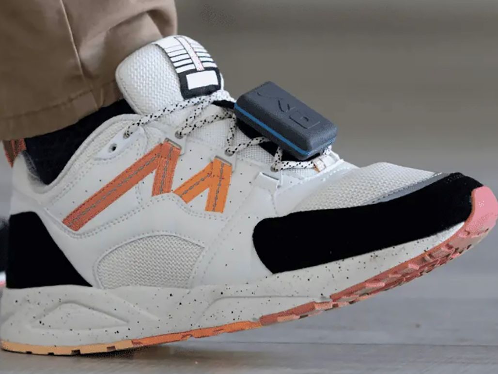 shoe