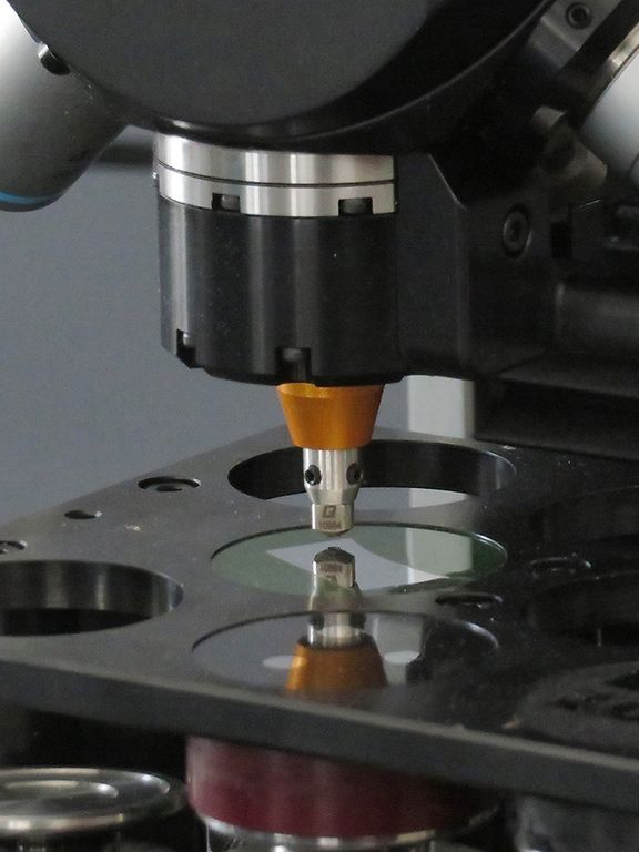 CloseUp_QNess_maxon