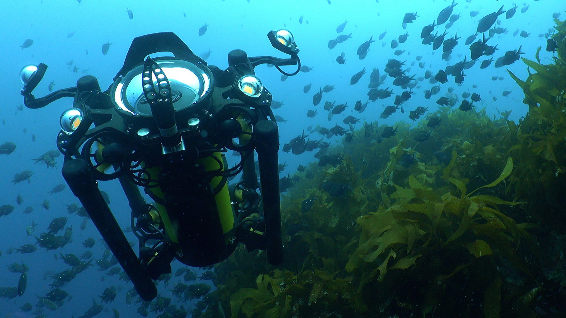 Reach Alpha 5 underwater_v4