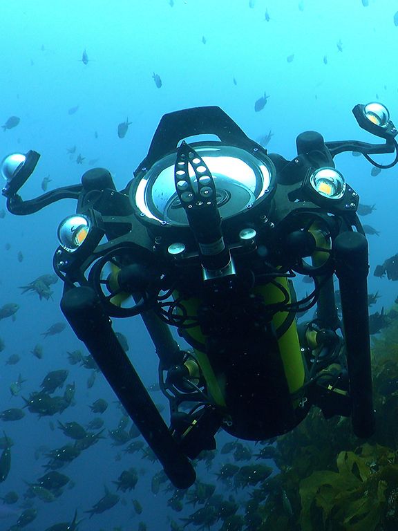 Reach Alpha 5 underwater_v4