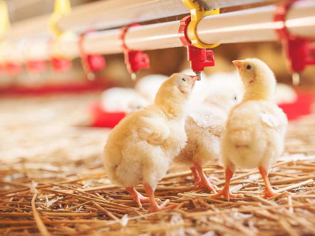 2022 Parvalux système de ventilation et alimentation