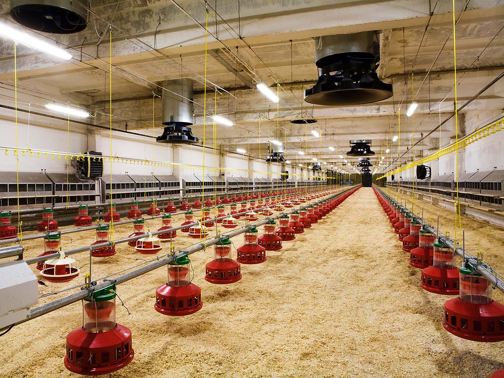 2022 Parvalux système de ventilation et alimentation3